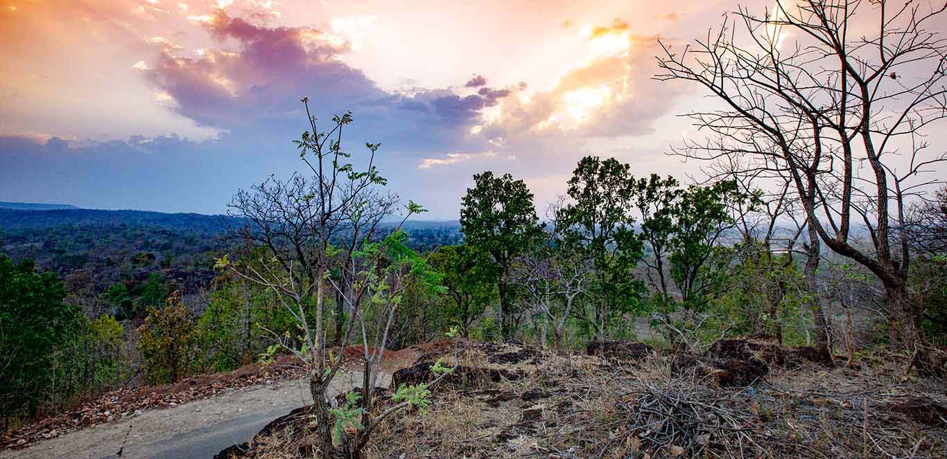 Things to visit near bagh