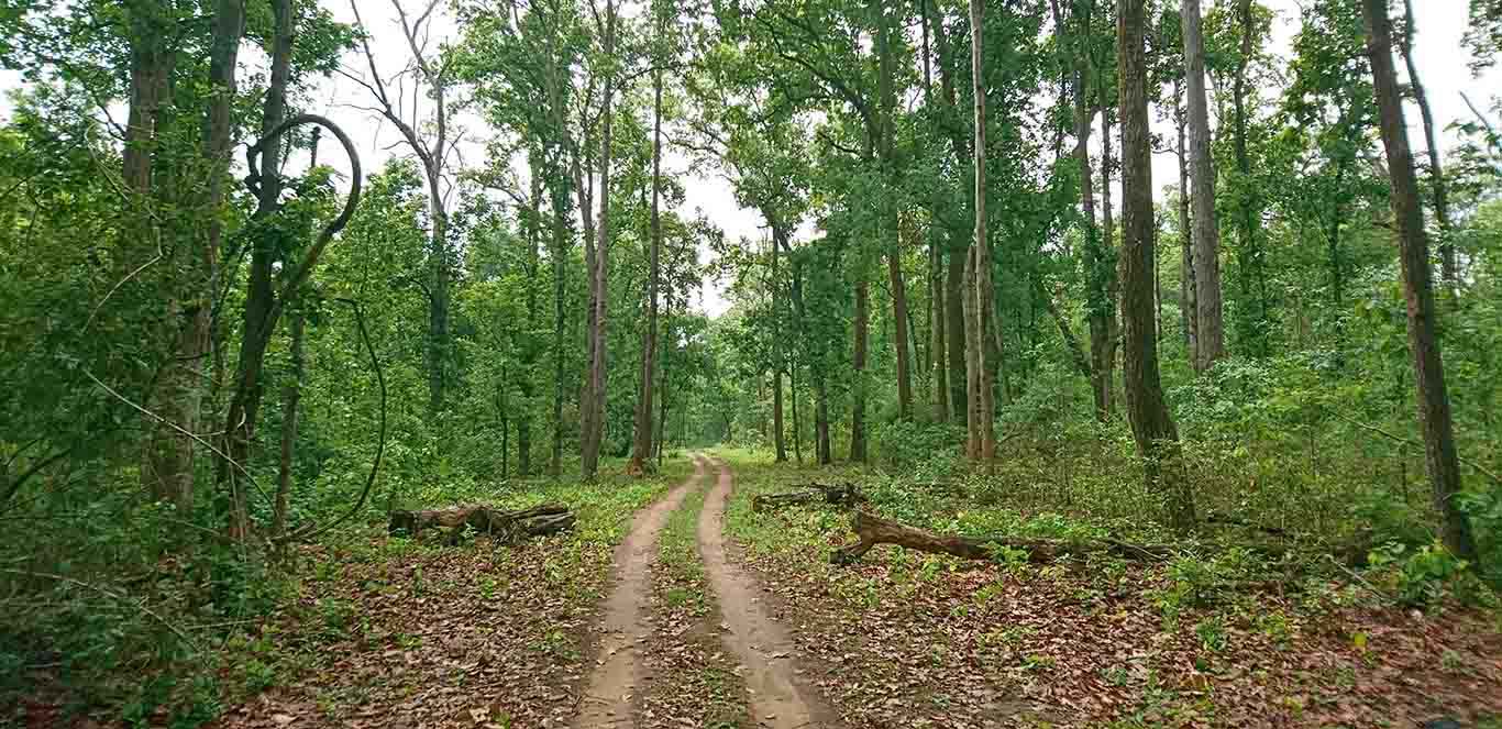 Places to visit around the bagh
