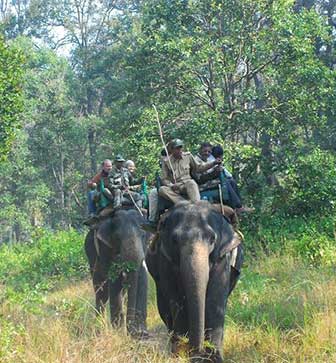 Elephant Safari